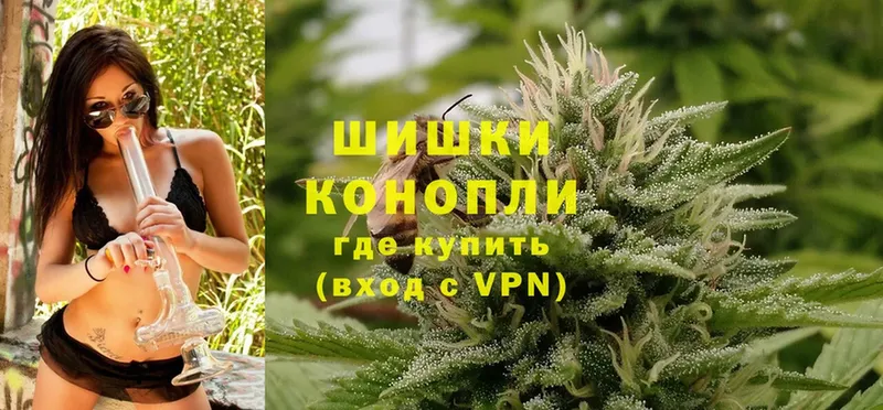 hydra как войти  Кедровый  Шишки марихуана Ganja 